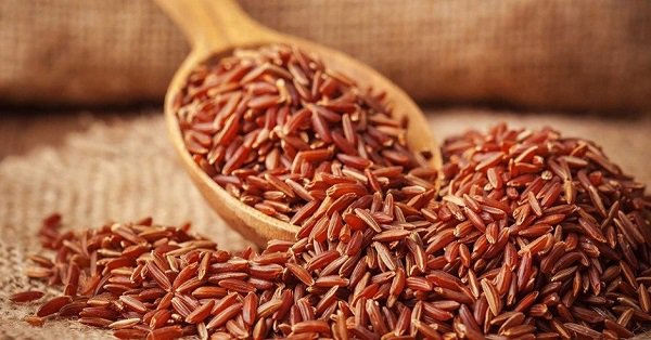 Gạo lứt nảy mầm gi&uacute;p l&agrave;m giảm lượng đường trong m&aacute;u